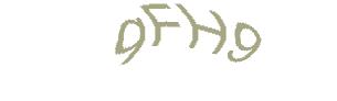 عبارت امنیتی
