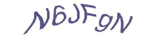 عبارت امنیتی