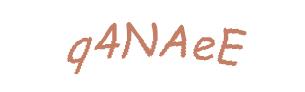 عبارت امنیتی