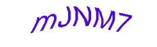 عبارت امنیتی