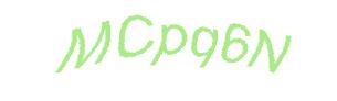 عبارت امنیتی