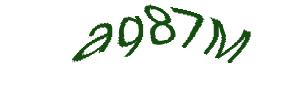 عبارت امنیتی