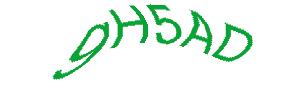 عبارت امنیتی