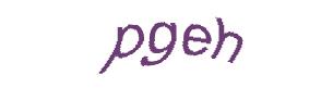 عبارت امنیتی