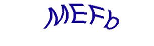 عبارت امنیتی
