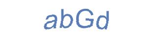 عبارت امنیتی