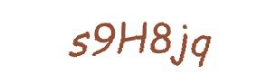 عبارت امنیتی