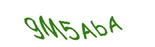 عبارت امنیتی