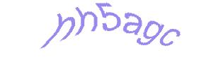 عبارت امنیتی