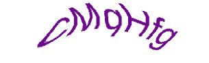 عبارت امنیتی