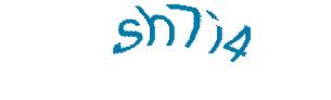عبارت امنیتی