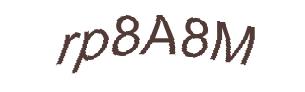 عبارت امنیتی