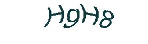 عبارت امنیتی