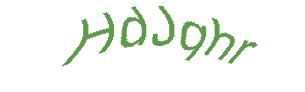 عبارت امنیتی