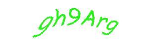 عبارت امنیتی