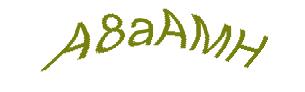 عبارت امنیتی