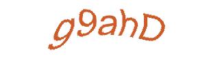 عبارت امنیتی