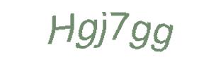 عبارت امنیتی
