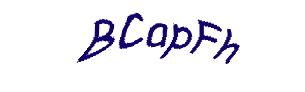 عبارت امنیتی