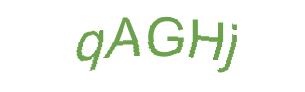 عبارت امنیتی