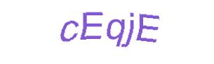 عبارت امنیتی