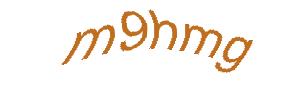 عبارت امنیتی