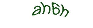 عبارت امنیتی