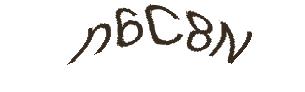 عبارت امنیتی