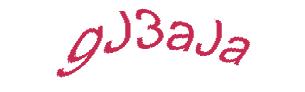 عبارت امنیتی