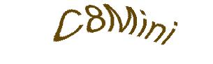 عبارت امنیتی