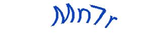 عبارت امنیتی