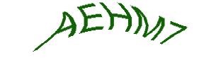 عبارت امنیتی