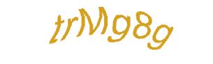 عبارت امنیتی