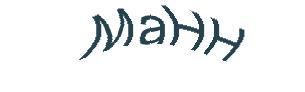عبارت امنیتی