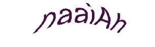 عبارت امنیتی