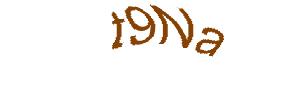 عبارت امنیتی
