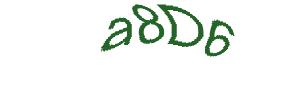 عبارت امنیتی
