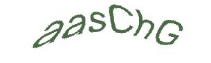 عبارت امنیتی