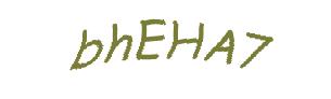 عبارت امنیتی