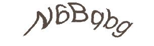 عبارت امنیتی