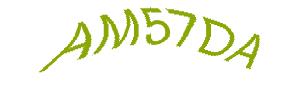 عبارت امنیتی