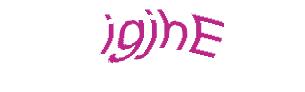 عبارت امنیتی
