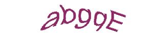 عبارت امنیتی