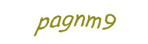 عبارت امنیتی
