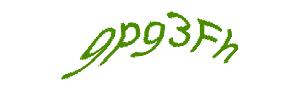 عبارت امنیتی