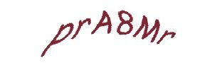 عبارت امنیتی