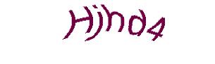 عبارت امنیتی