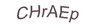 عبارت امنیتی