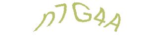 عبارت امنیتی