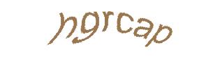 عبارت امنیتی